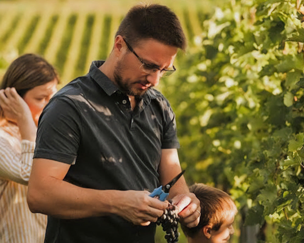 Q&A with Ivan Kosovec 💬