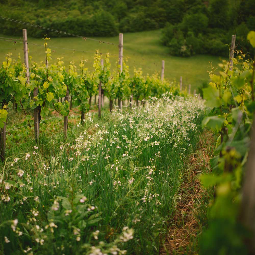 Biodynamic