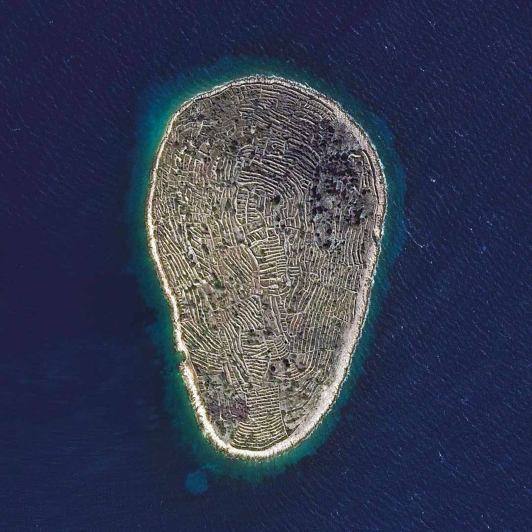 Island Wines