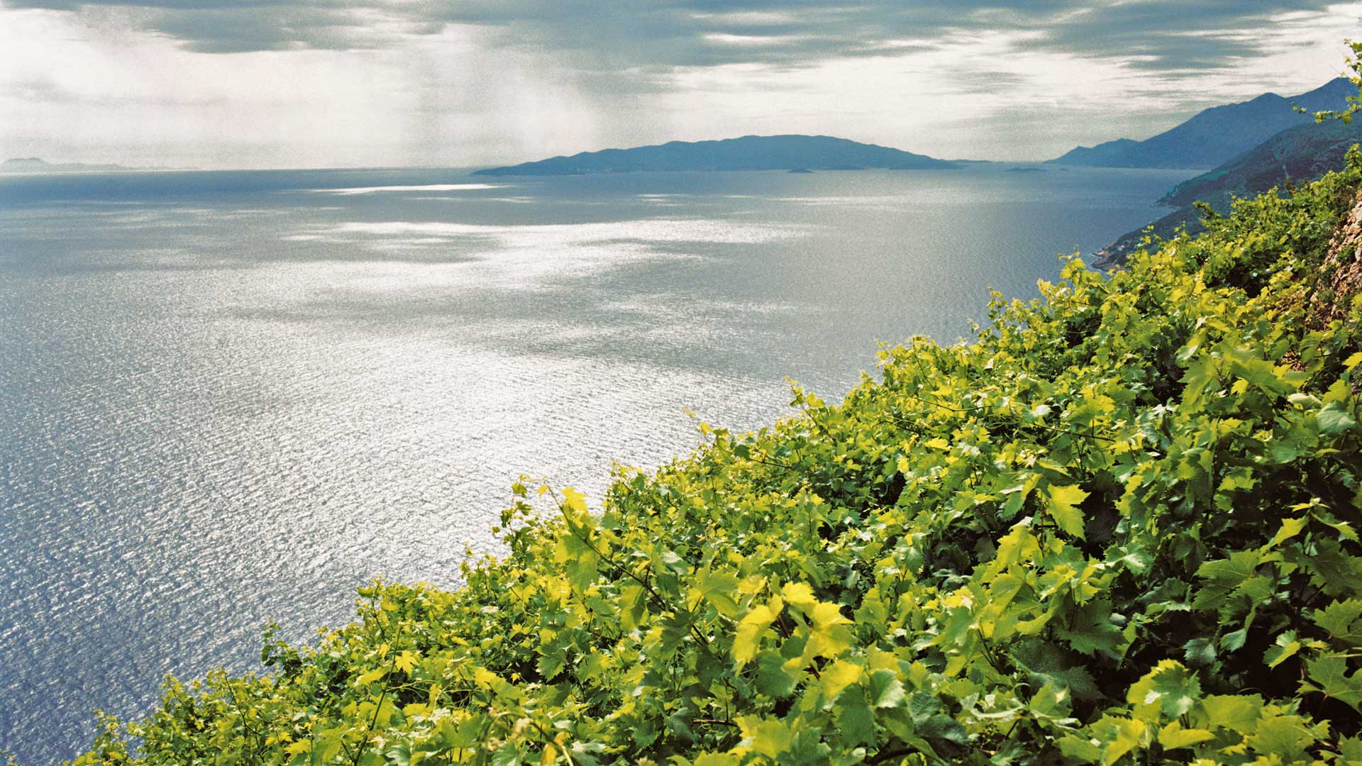 Pelješac