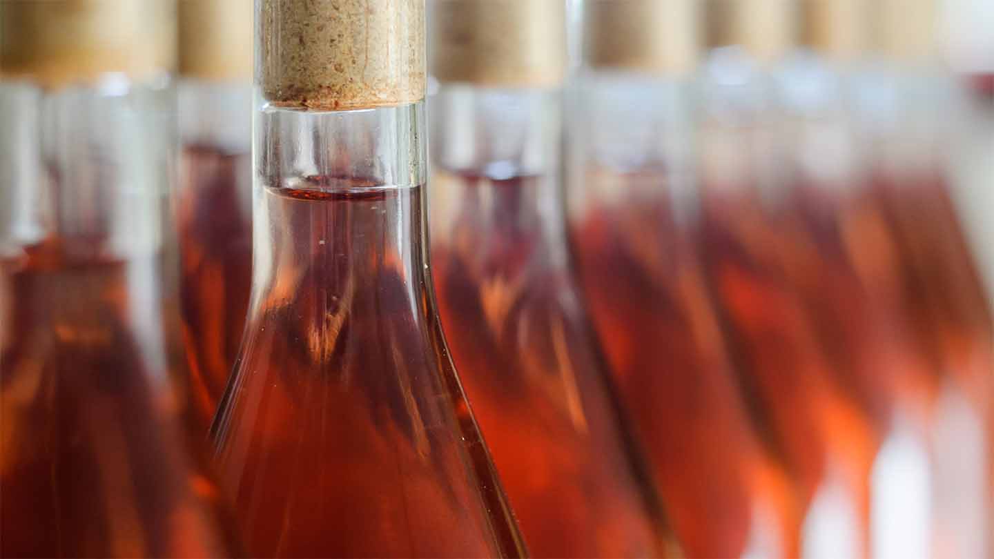 Rosé Wine