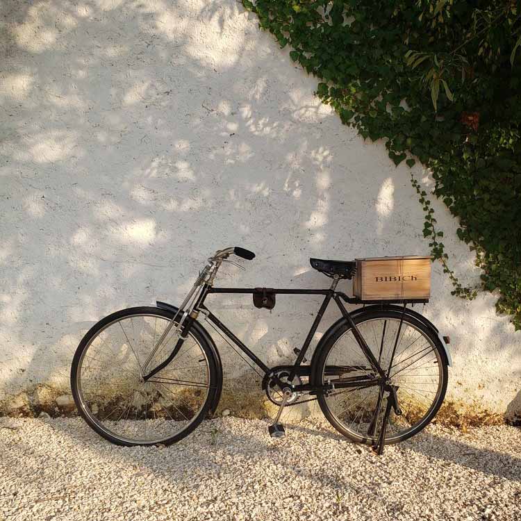 Bibich Cuvee 2022