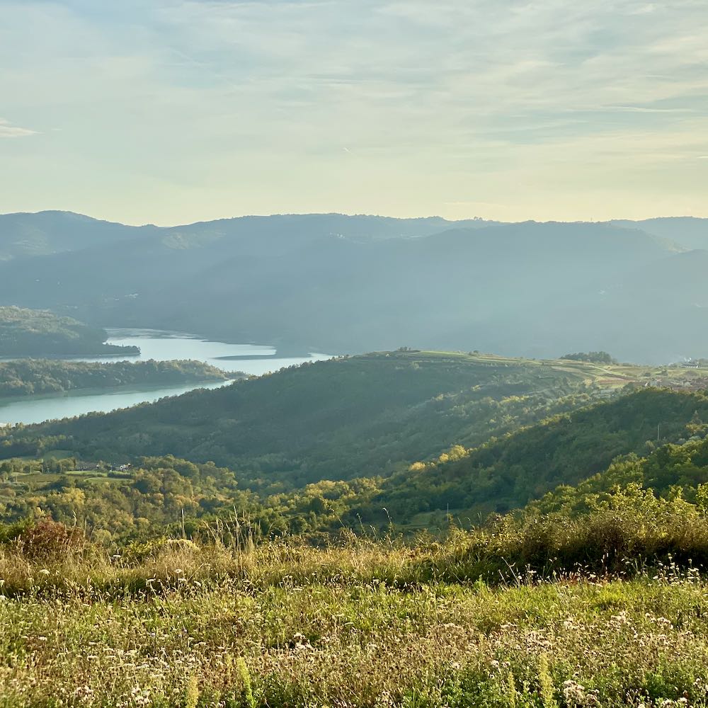 Piquentum Refošk 2020