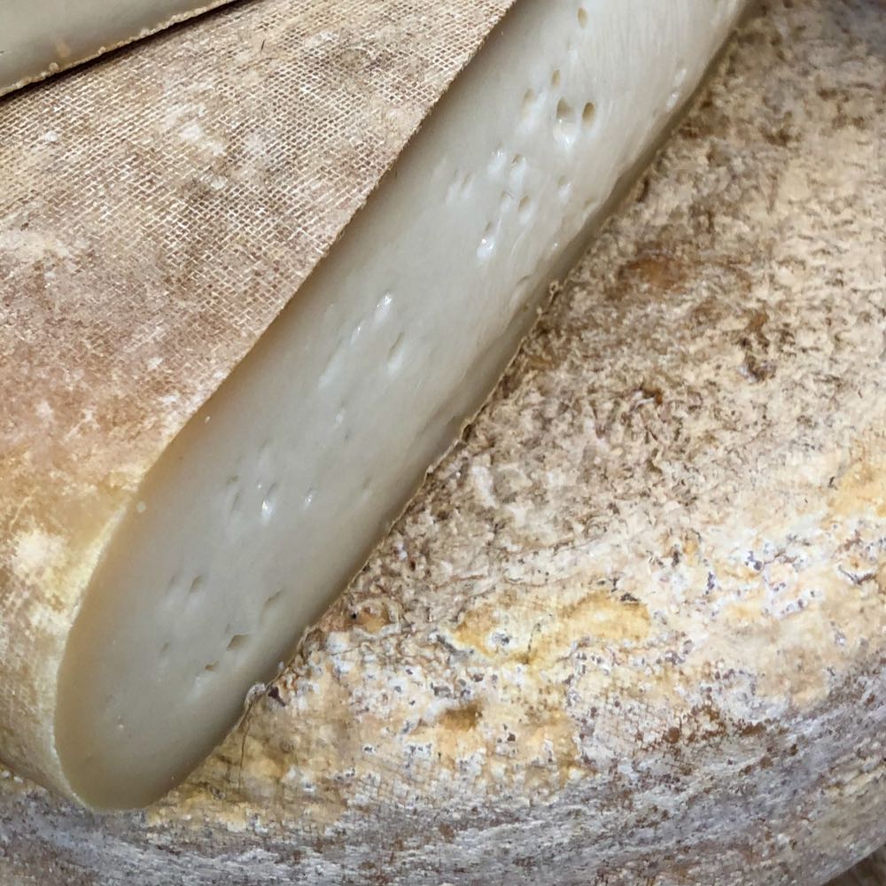 Piquentum Refošk 2020