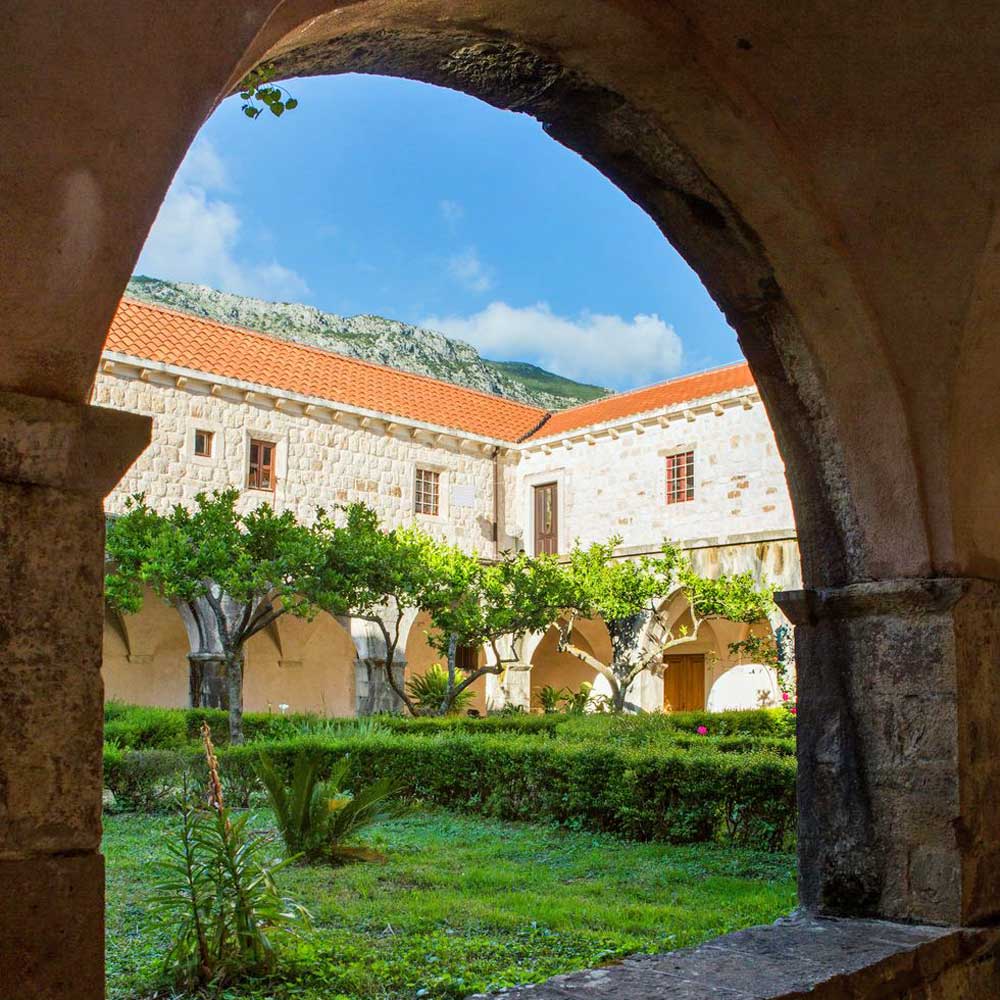 Arancini Candied Wild Orange Peel