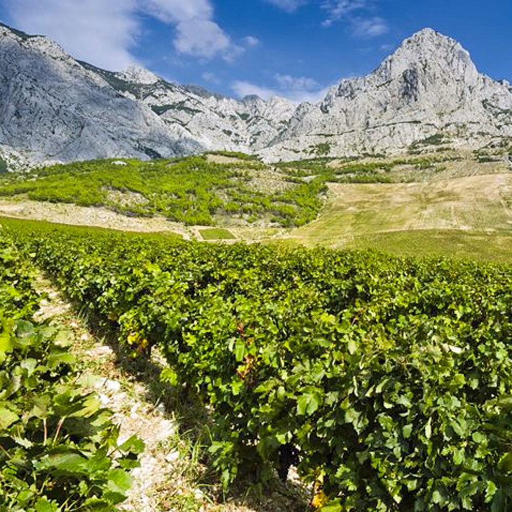 Zlatan Otok Crljenak (Zinfandel) 2020