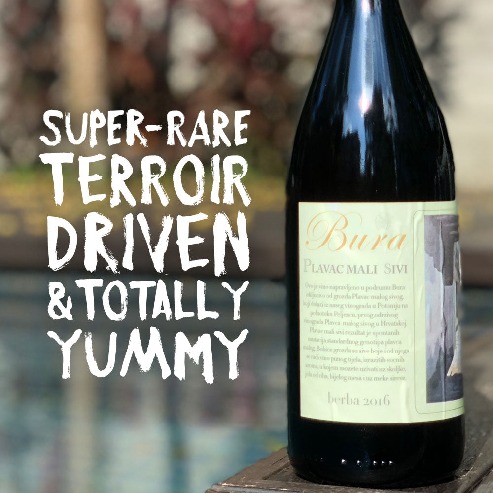 Bura Plavac Mali Sivi 2023