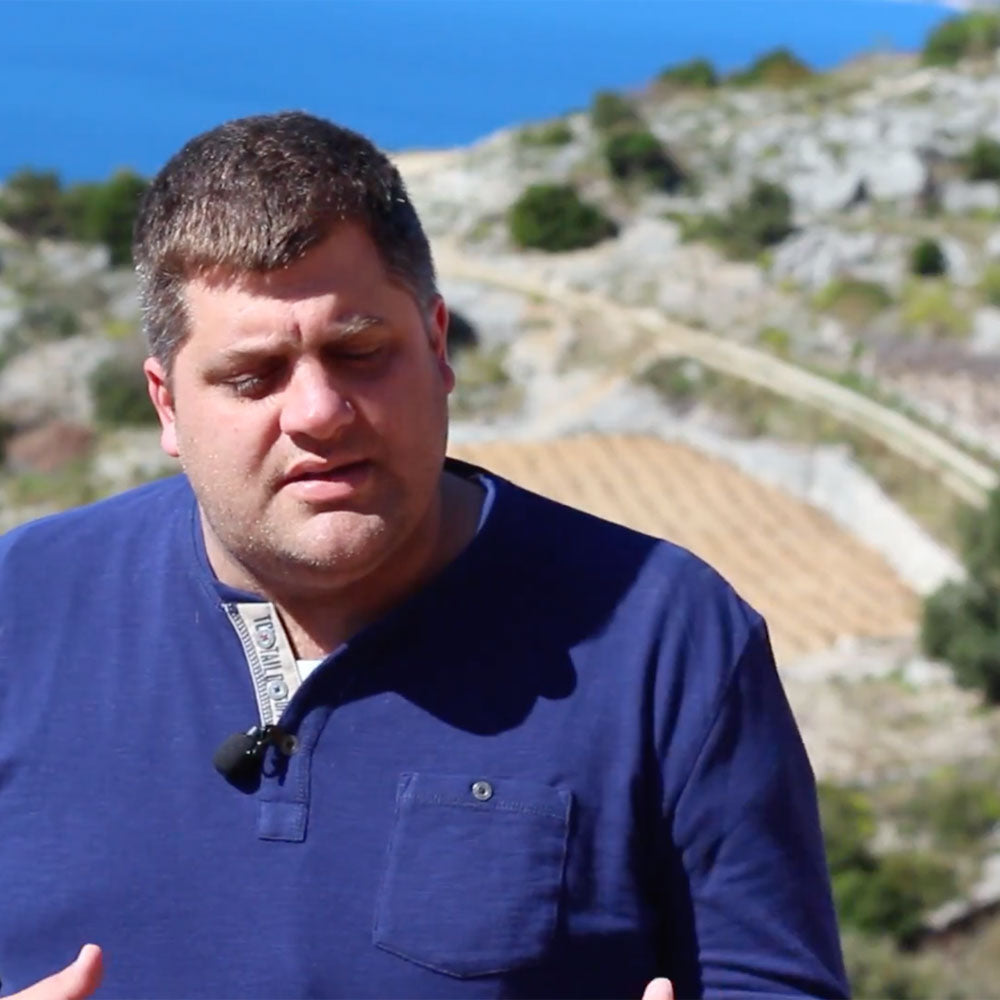 Bura Plavac Mali Sivi 2023