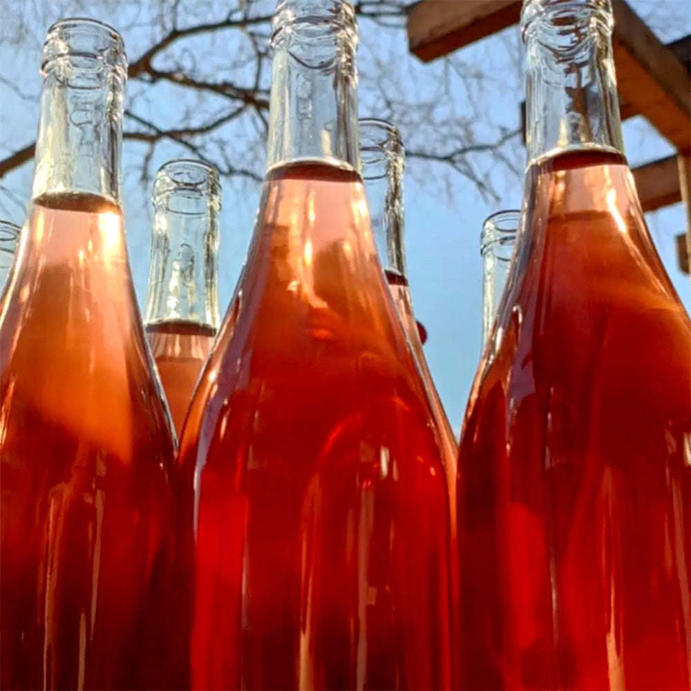 Cota Lapacha Rosé 2022