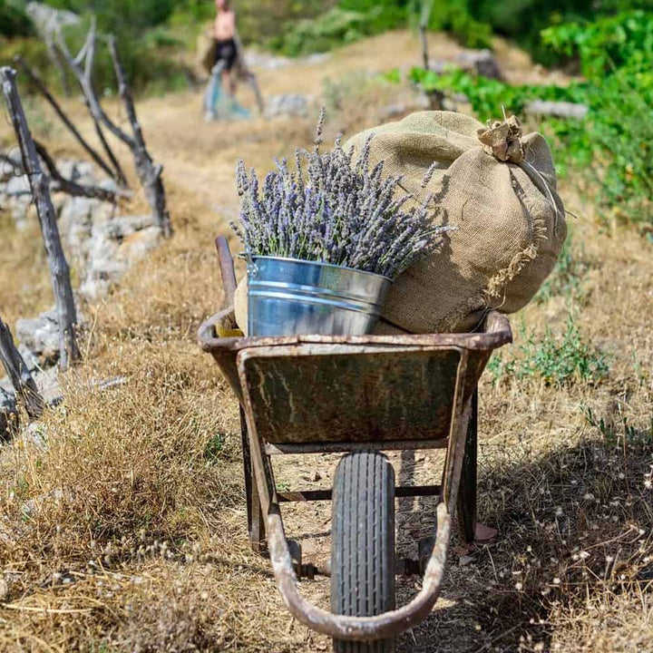 Bio Spice Mix for Fish