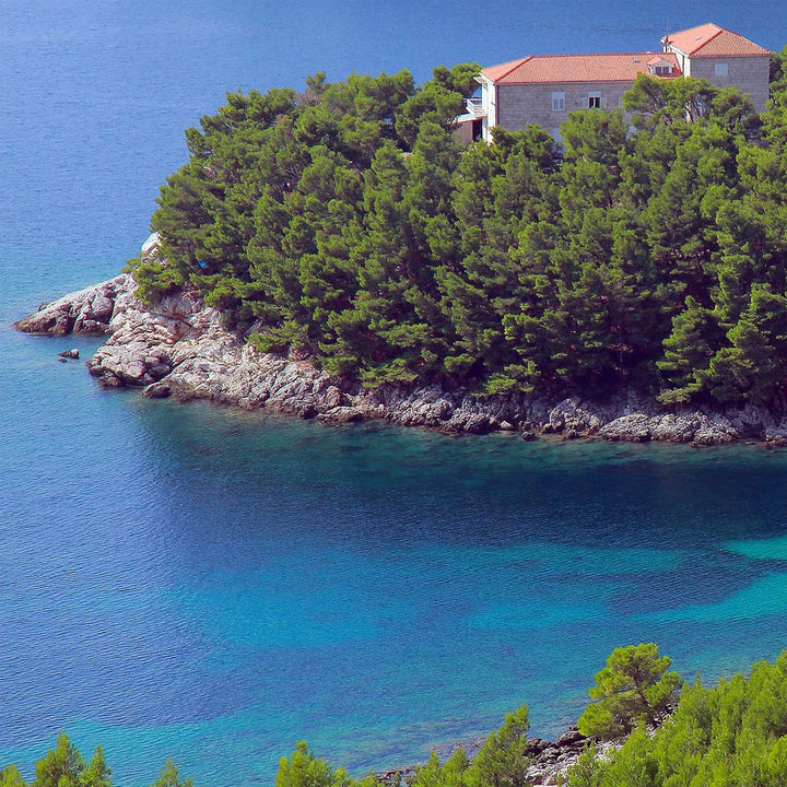 Grgic Posip 2019