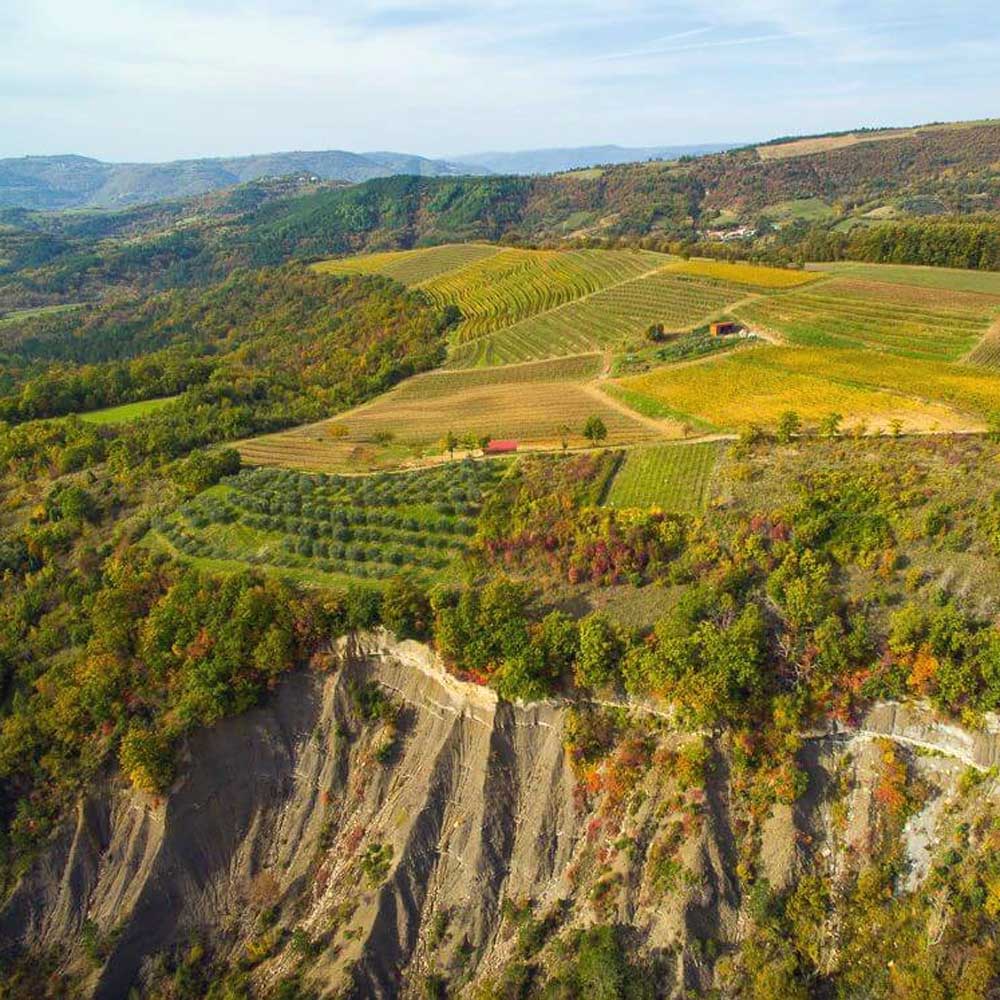 Matošević Grimalda Red 2018