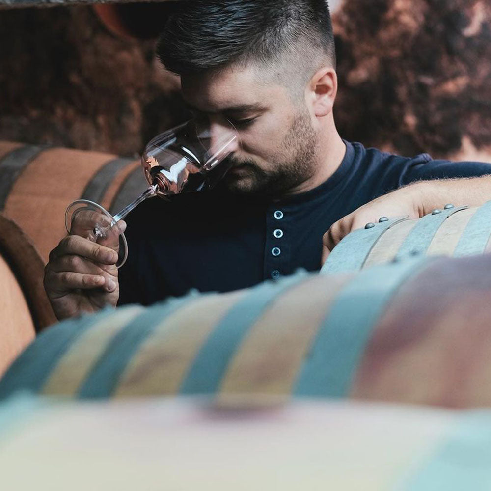 Ipša Santa Elena 2019