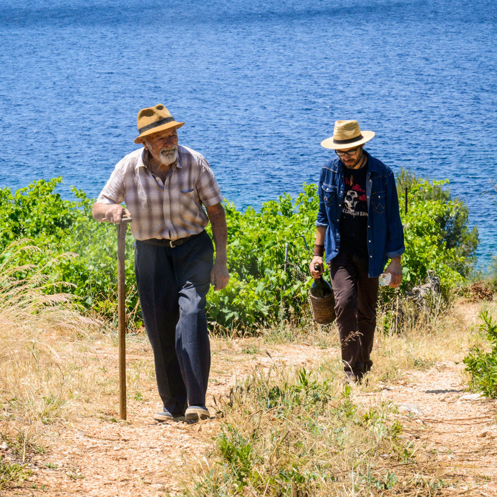 Kriz Plavac Mali 2018