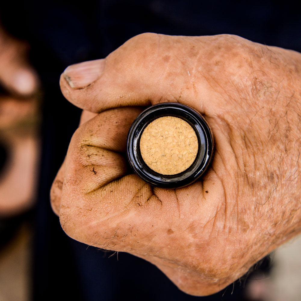 Kriz Plavac Mali 2018