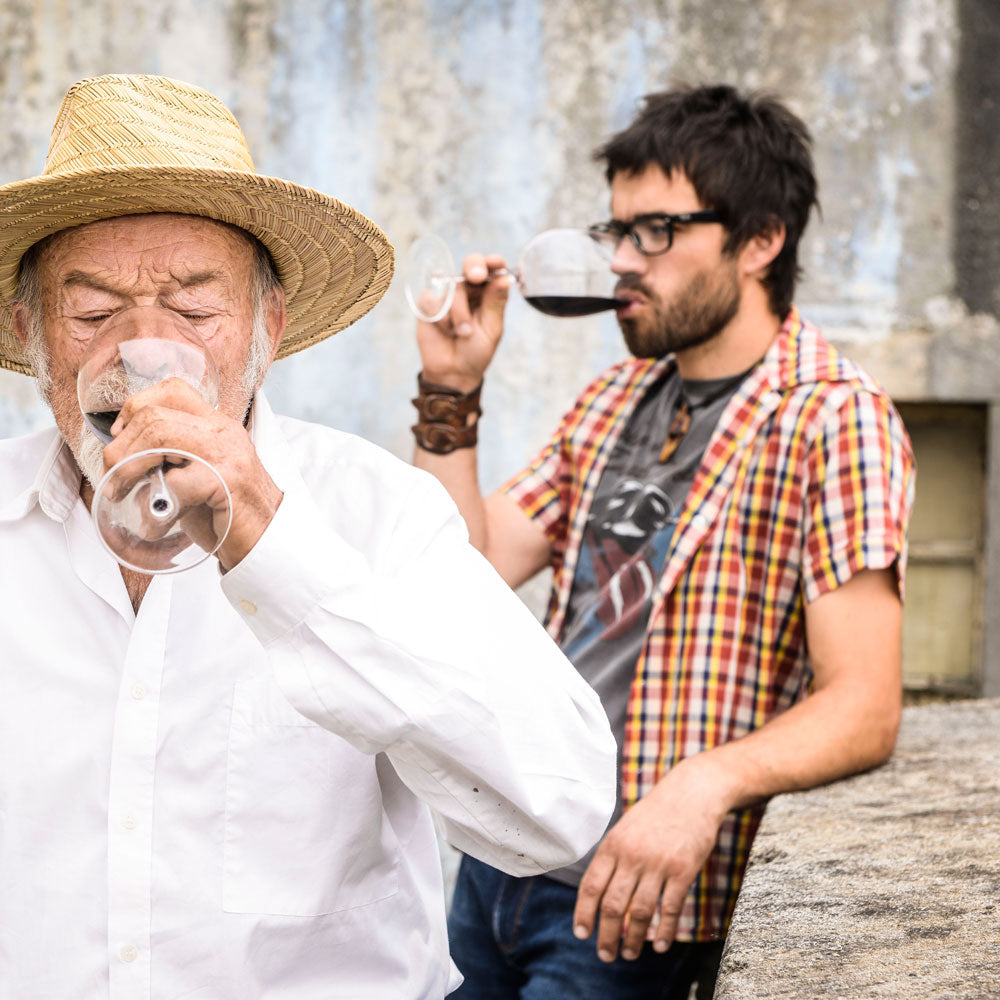 Kriz Plavac Mali 2018