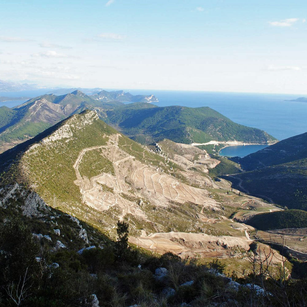 Milos Plavac Mali 2019