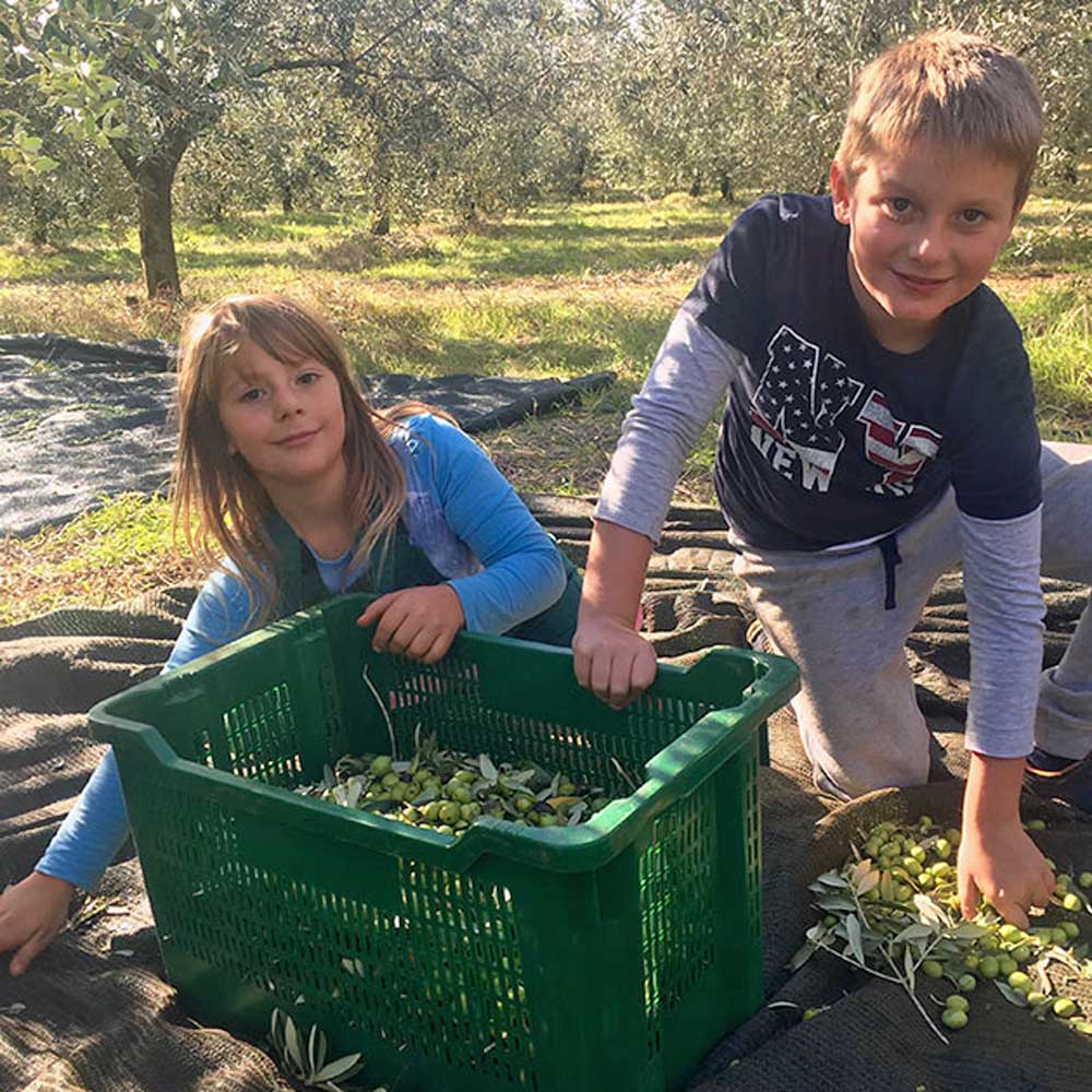 Chiavalon Romano EVOO (for fish)