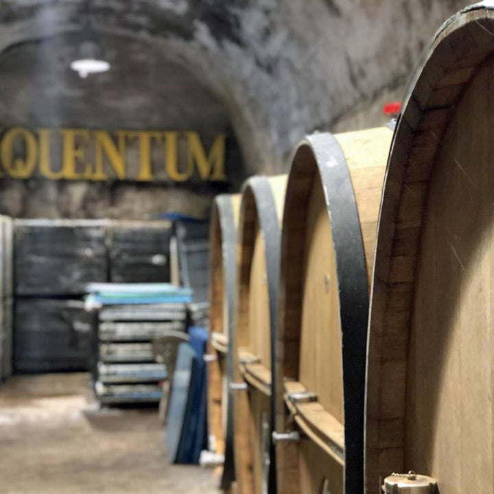 Piquentum Teran 2021