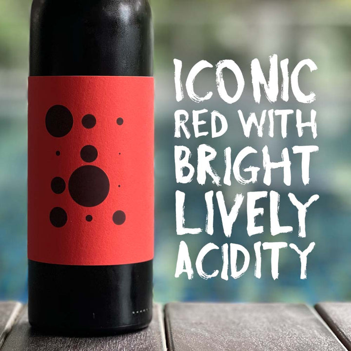 Piquentum Teran 2021