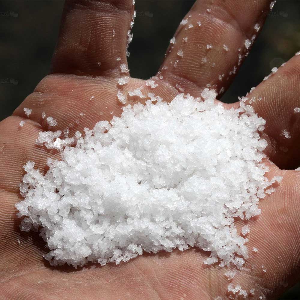 Nin Fleur de Sel ❤️