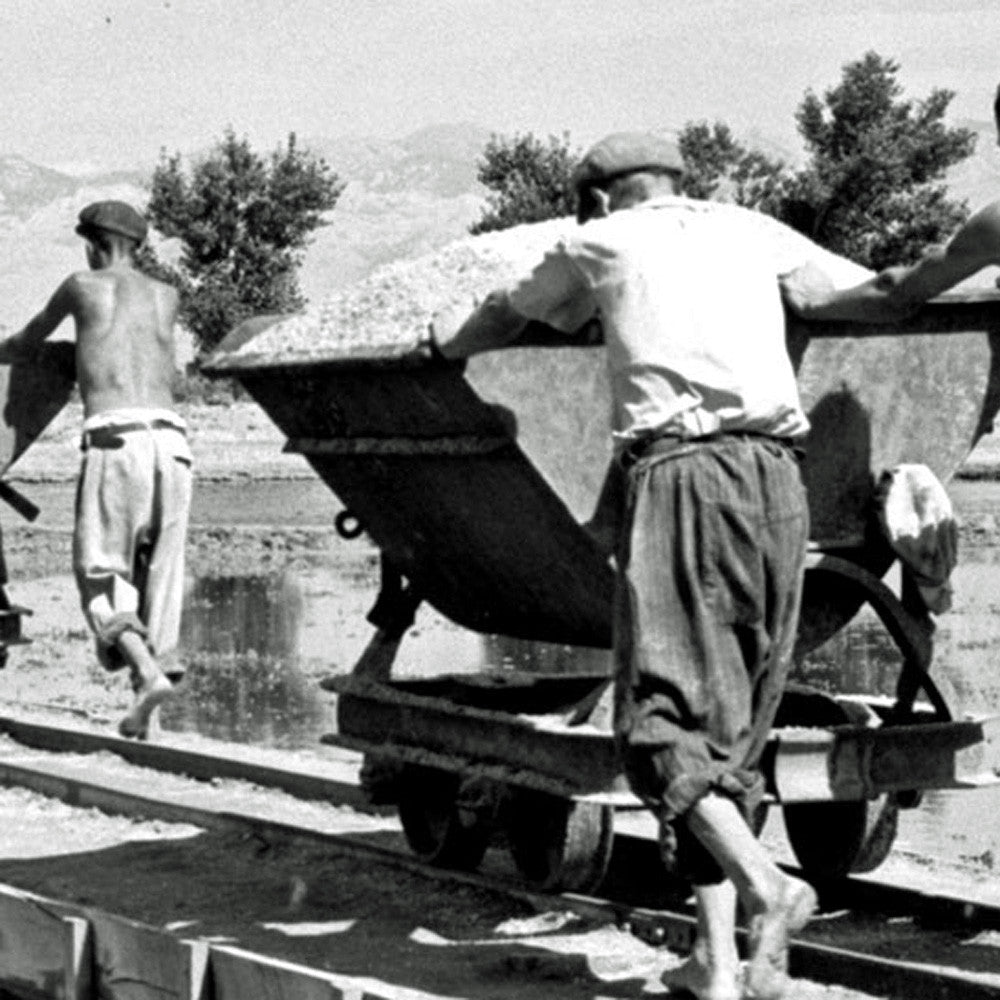 Aromatic Sea Salt with Dalmatian Spices