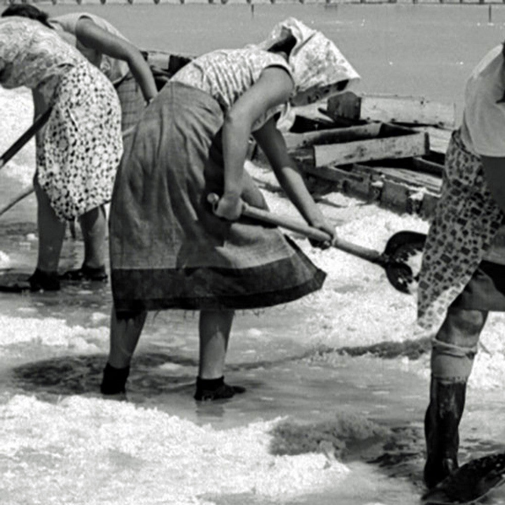 Aromatic Sea Salt with Dalmatian Spices