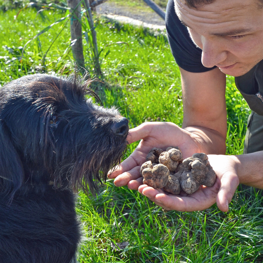 Acacia Honey with White Truffles