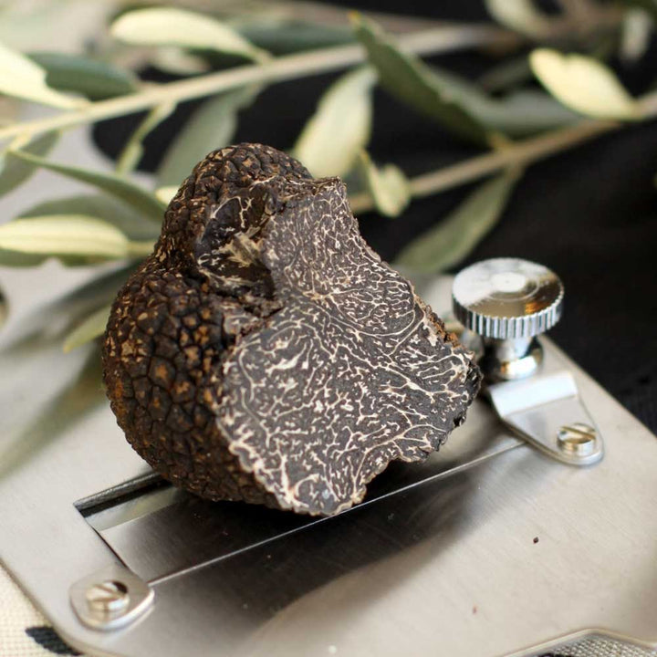 Fresh Istrian Black Winter Truffles (Tuber Melanosporum)