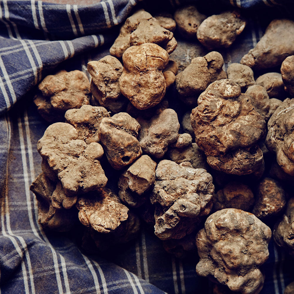 Fresh Istrian White Truffles (Nov-Dec)