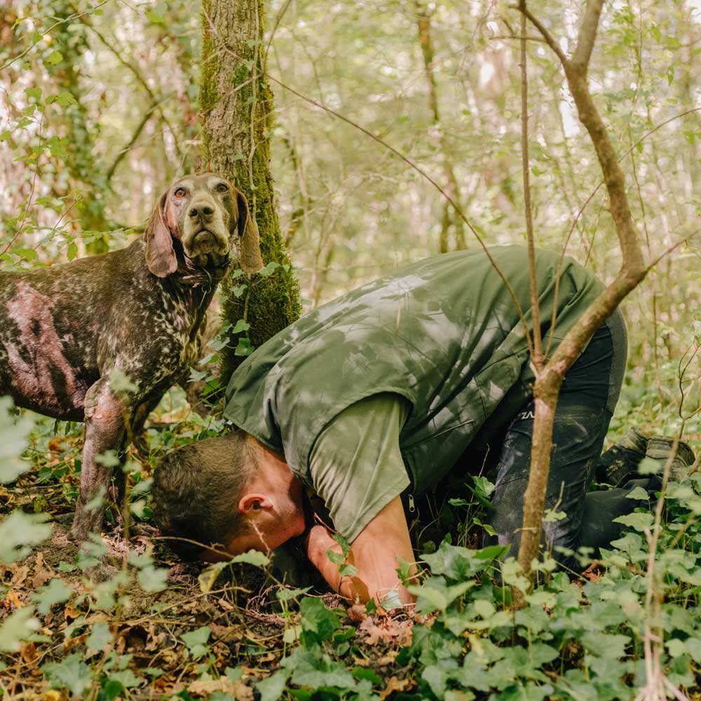 Truffle & Olive Tapenade