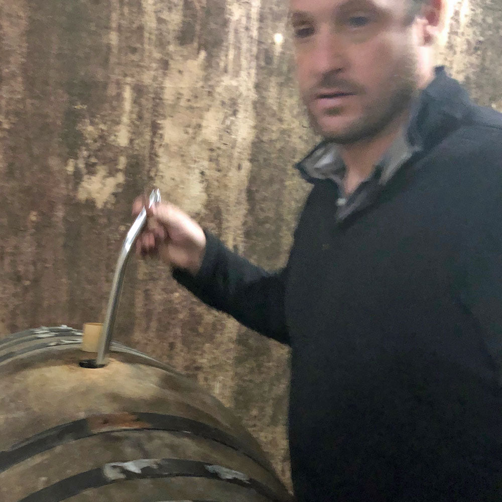 Piquentum Teran 2021