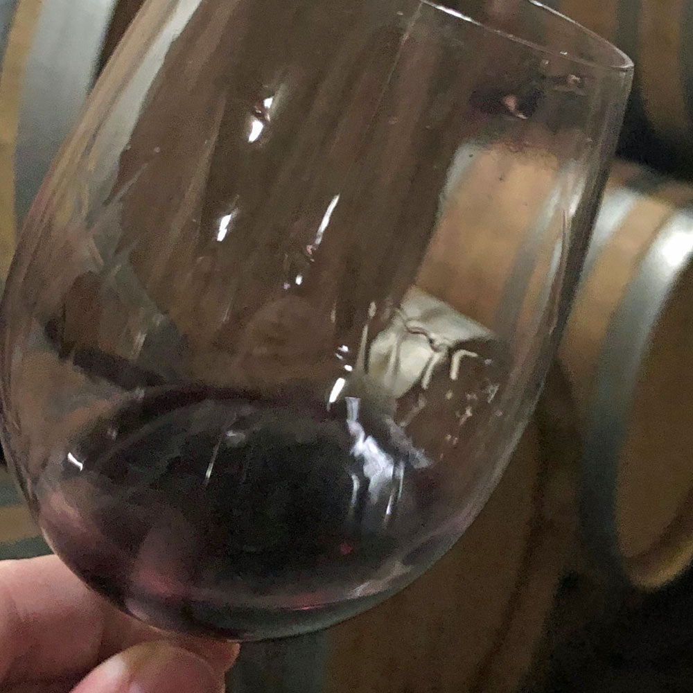 Piquentum Teran 2021