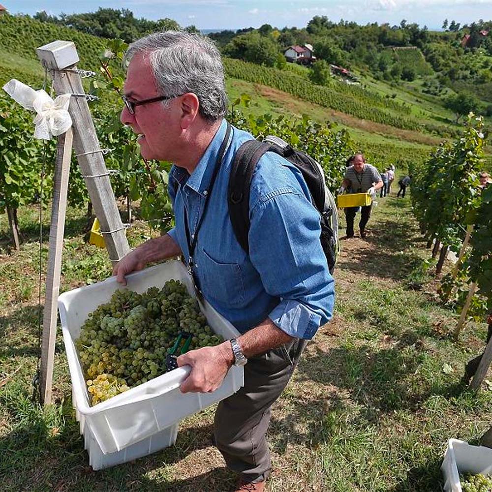 Tomac Diplomat Extra Brut