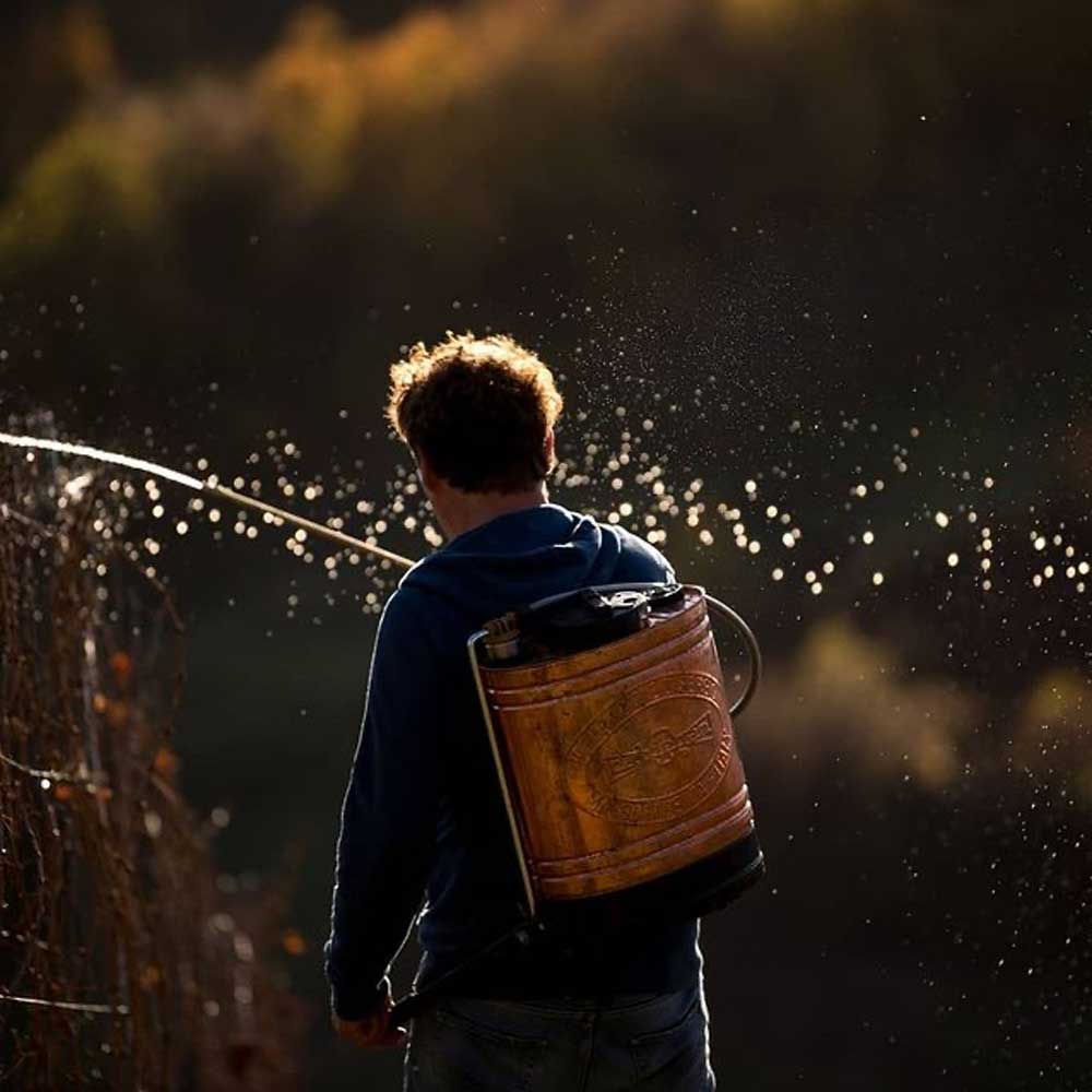 Tomac Pet Nat Rosé 2021