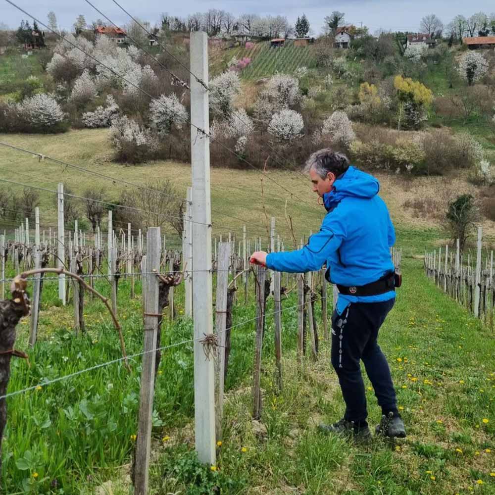 Tomac Rockstar Riesling 2023