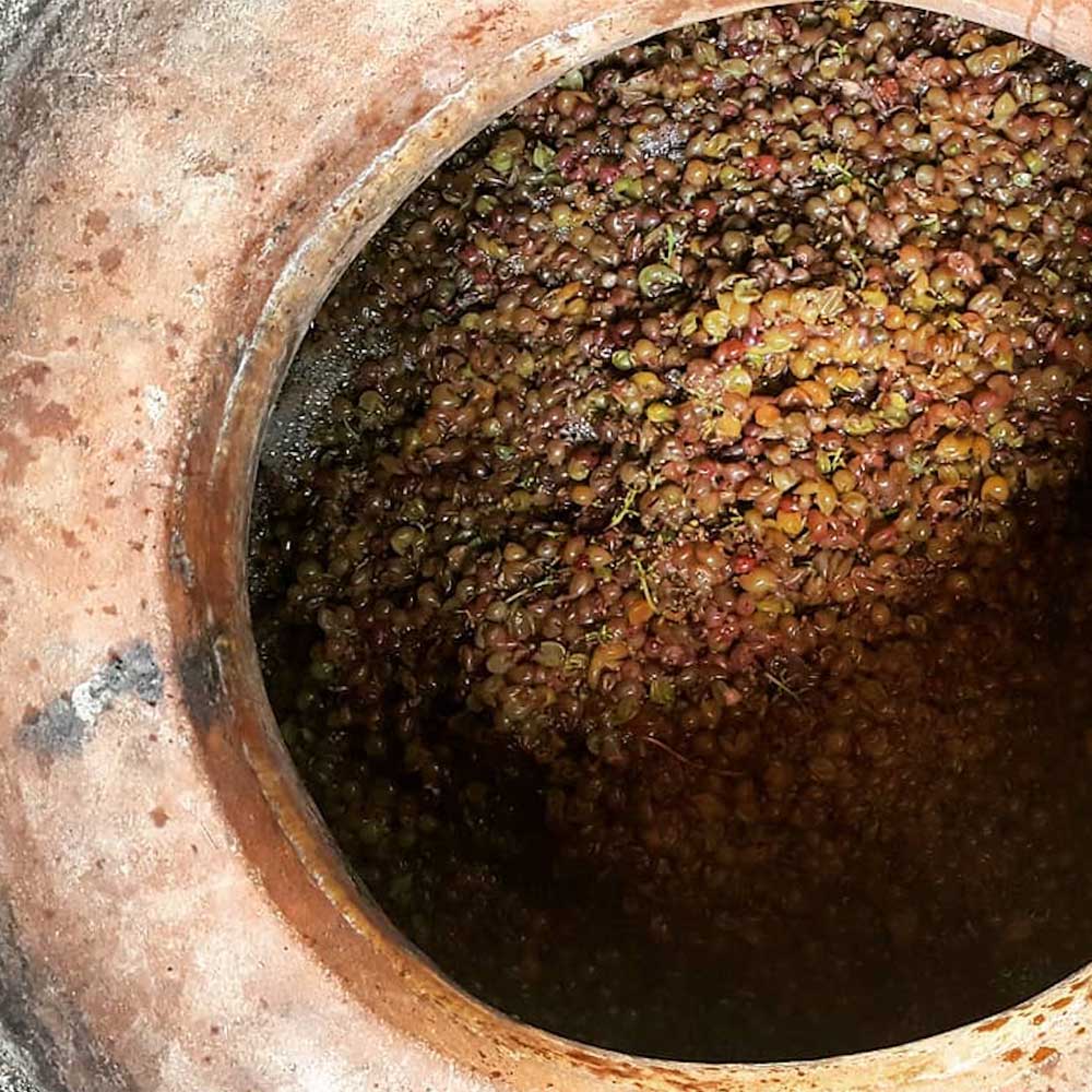 Tomac Amfora Traminac 2017