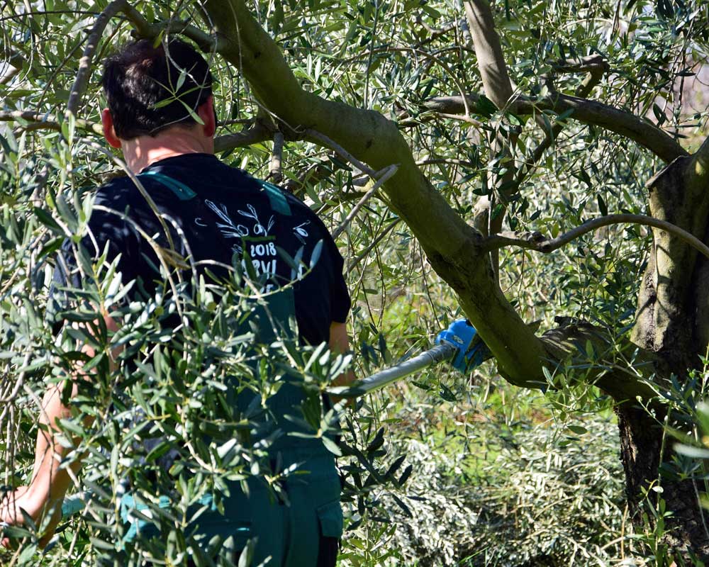 On the Importance of Pruning ✂️