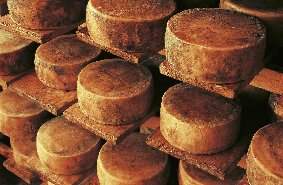 Cheese