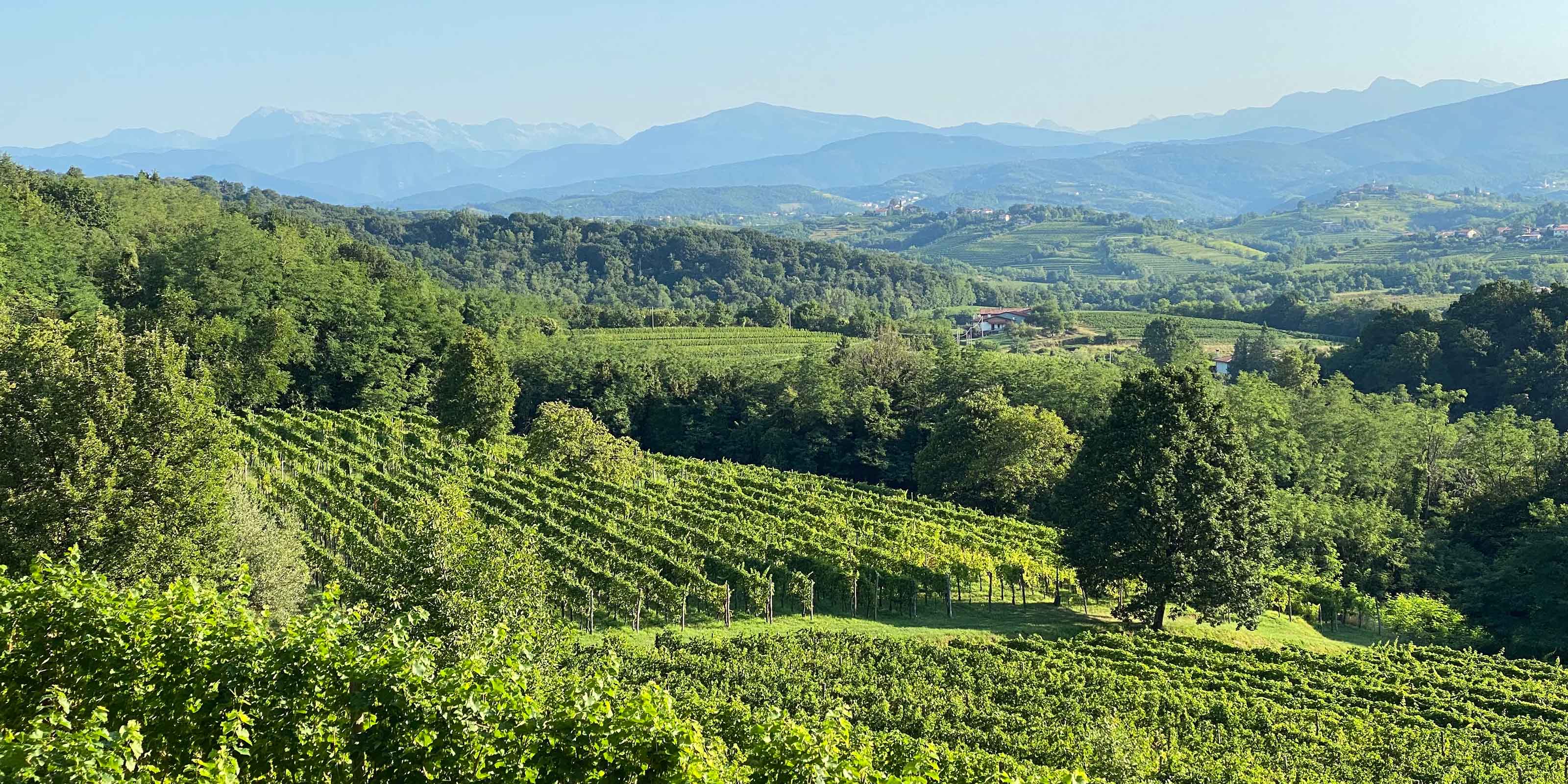Friuli-Venezia Giulia