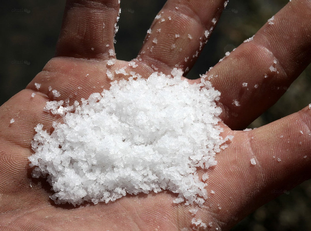 Salt & Spices