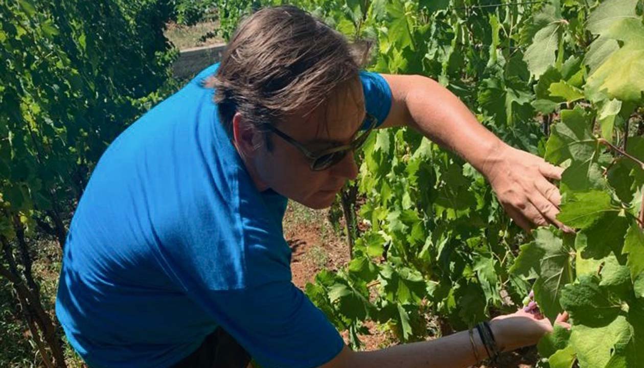 Marko Kovač (Negotians Vinarius)