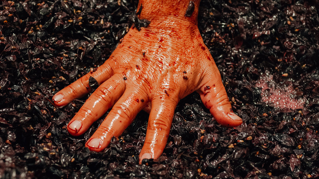 Red Wine
