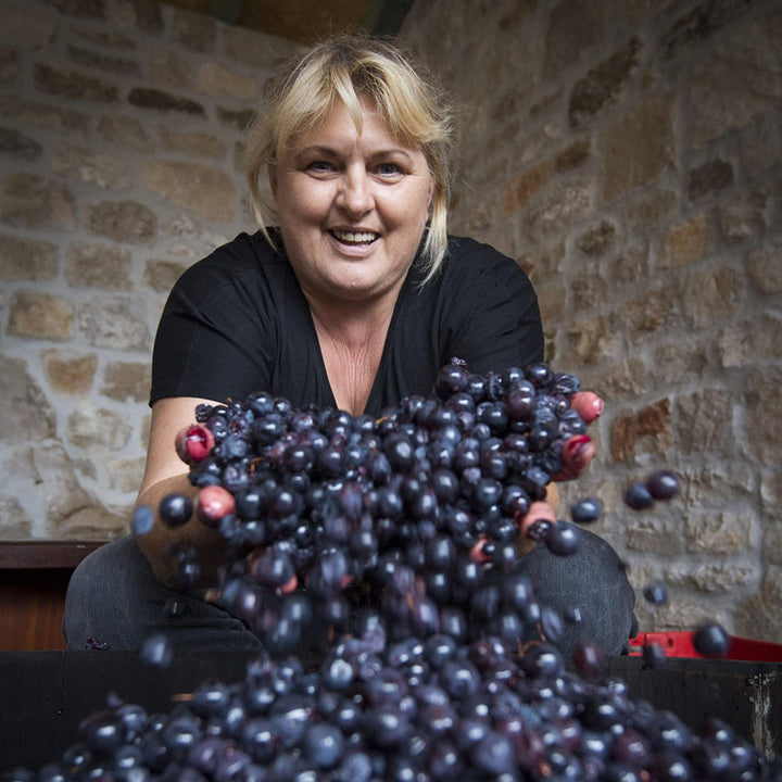 Bura Basina Tribidrag 2020