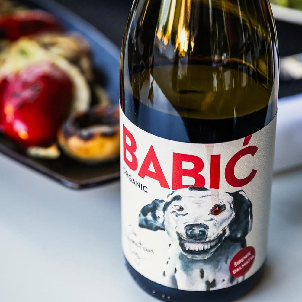 Dalmatian Dog Babić 2019