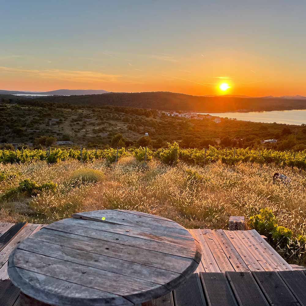 Delusional Drunken Englishman 2021