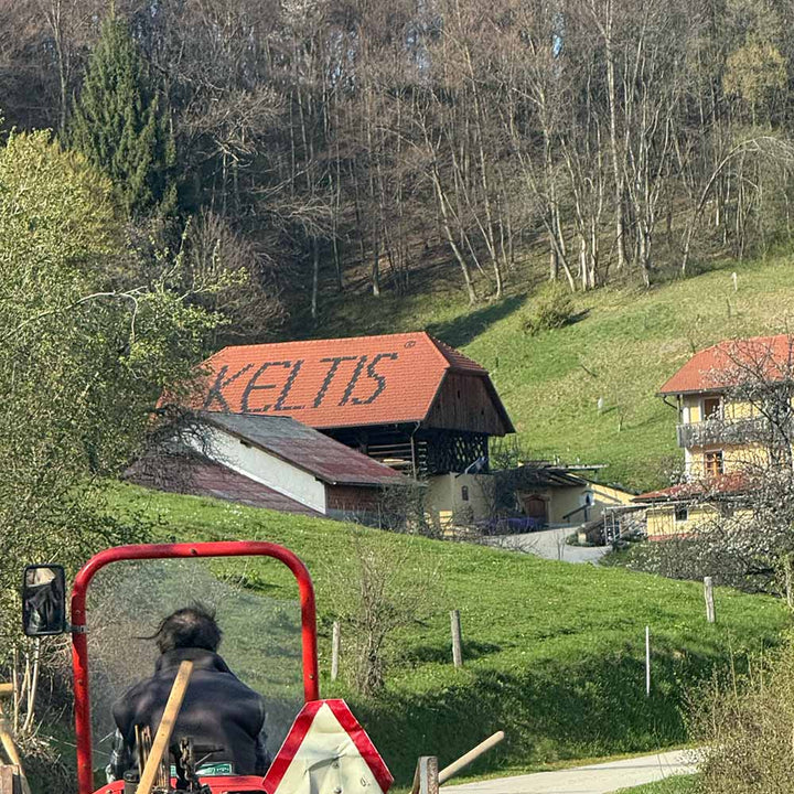 Keltis Žan 2022