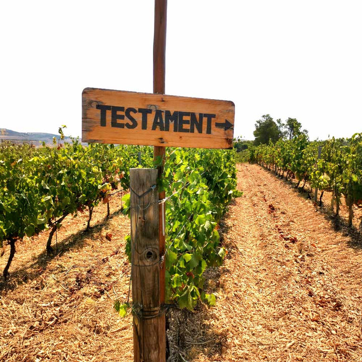 Testament Pošip Zenit 2018