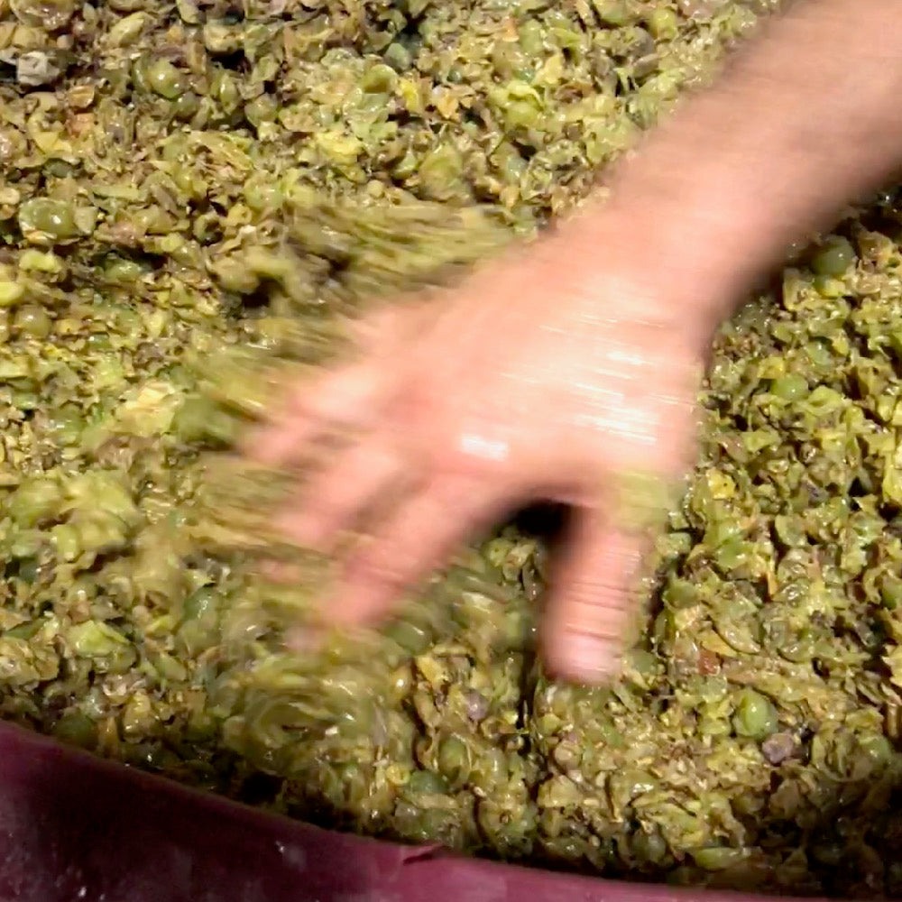 Piquentum Malvazija 2022