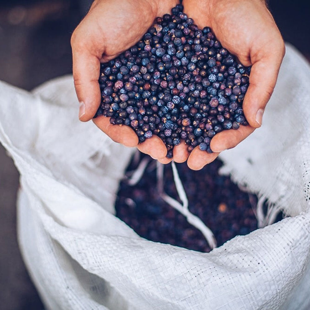 Old Pilot's London Dry Gin